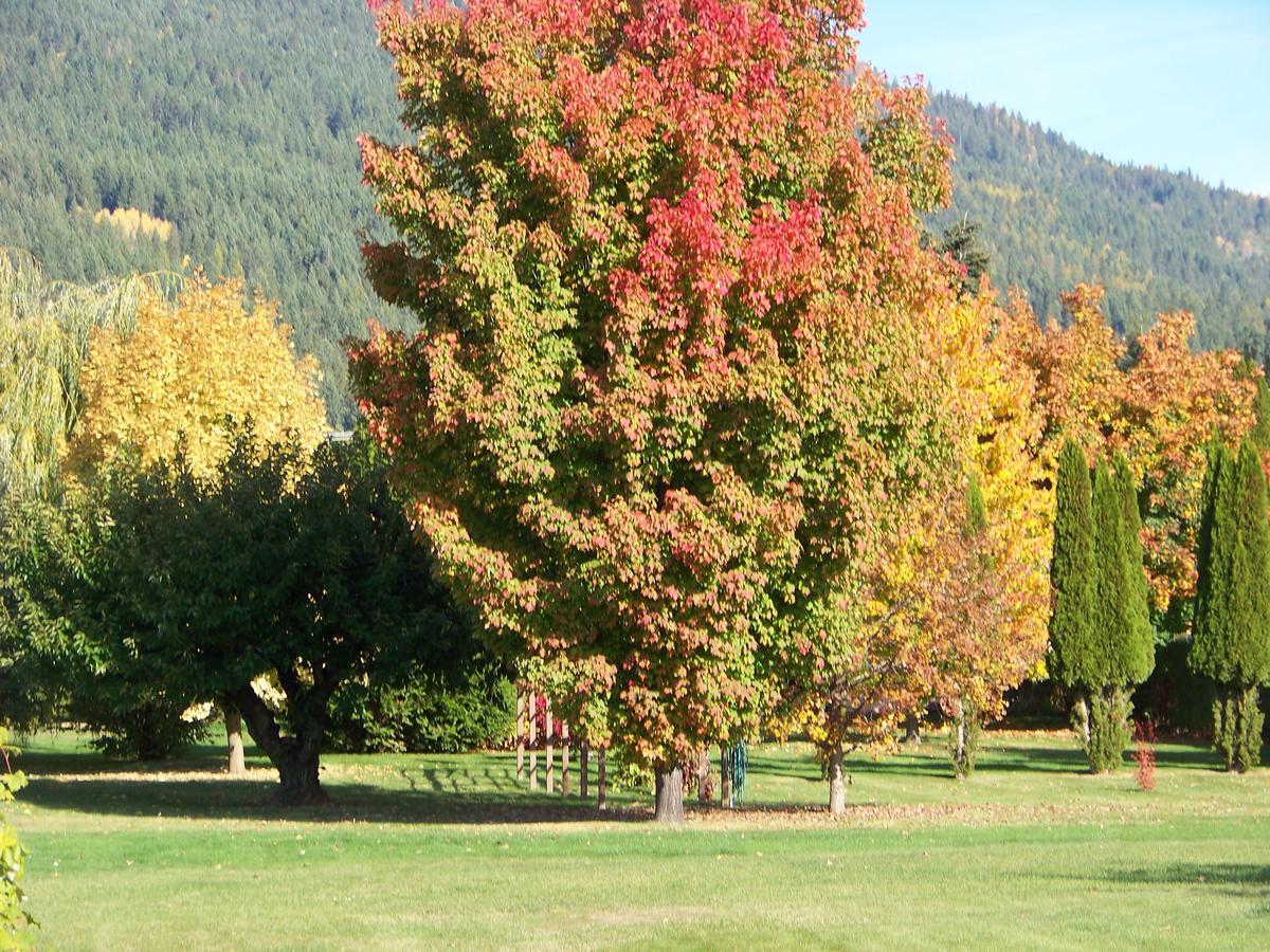 Bavarian Orchard Motel Creston Extérieur photo